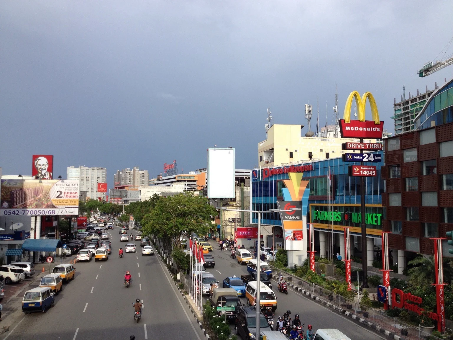 Menerima Antar Hewan Seluruh Area Kalimantan